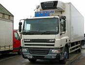 Pittenweem: DAF65 CF220 (David Gerrard)