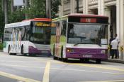 Two Buses