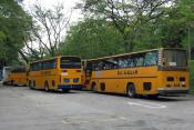 School Buses - Kuala Lumpur