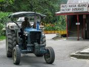 Ford 5000 (BOH Tea)