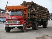 Mercedes Logging Trucks