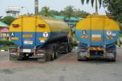Palm Oil Pair