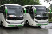 Zhong Tong Bus - Creator