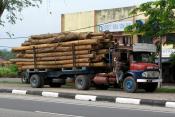 Load of Logs