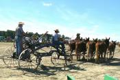 Eight Horsepower Road Grader