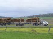 Timber Jinker