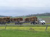 Timber Jinker In Qld