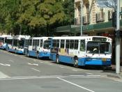 Sydney Buses