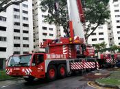 Terex Demag Ac 350 (wc 3275 R) Tong Soon