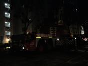 Terex Demag Ac 350 (wc 3275 R) Tong Soon