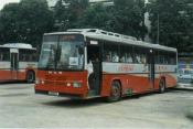 Buses From Across The World