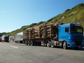 Busy Weigh Bridge At Scrabster