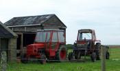 Zetor And Massey Ferguson