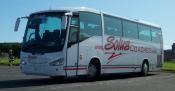 Solus Coaches